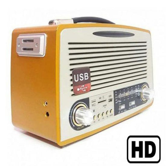 Uzaktan İzlemeli Radyo Gizli Güvenlik Kamera FULL HD